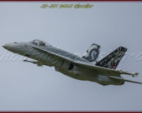 3GLOVELIER 0531